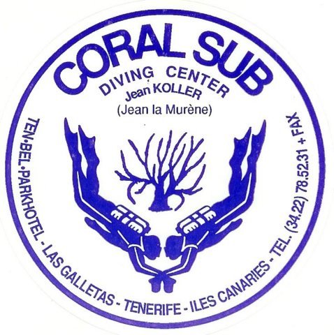 coralsub.jpg